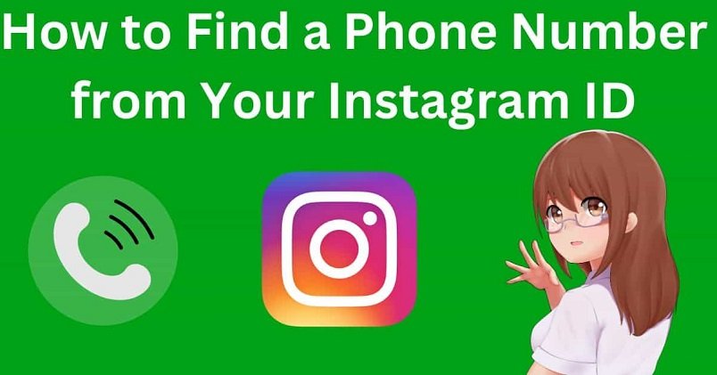 How to Find a Phone Number from Your Instagram ID