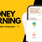 Earn More Money in India