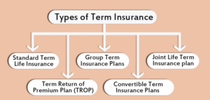 Term Insurance Plan