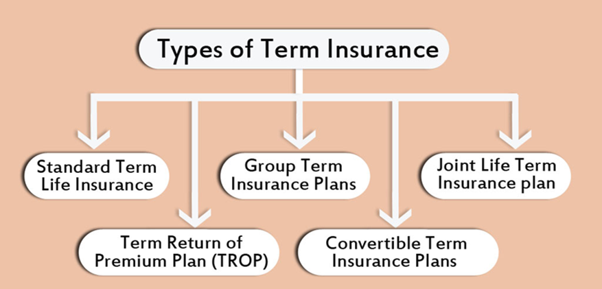 Term Insurance Plan